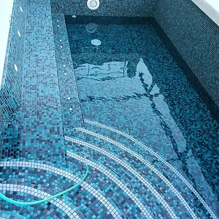 Daire House Teresa - Private Pool Băile Herculane